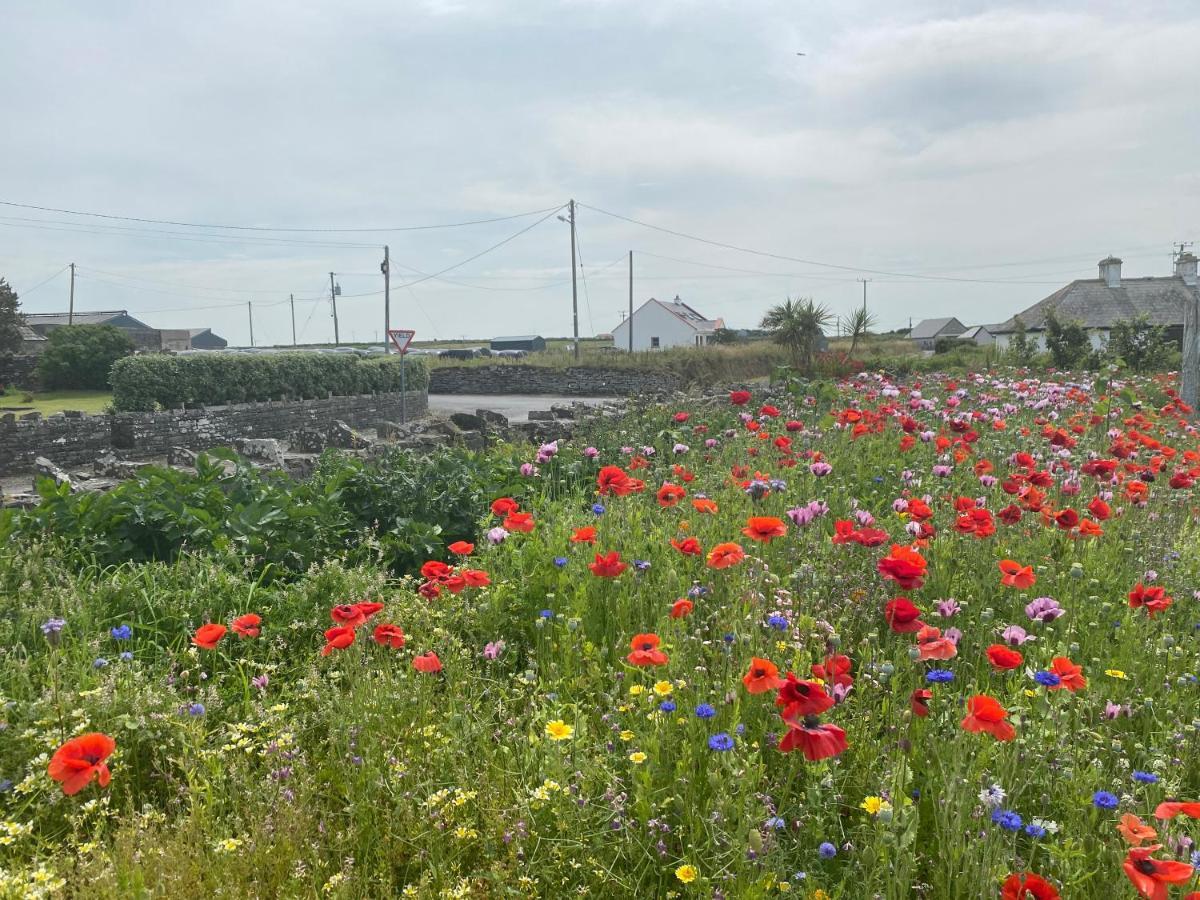 Clonmore Lodge B&B Quilty Luaran gambar