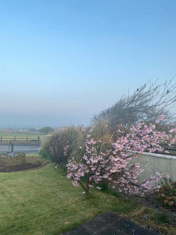 Clonmore Lodge B&B Quilty Luaran gambar