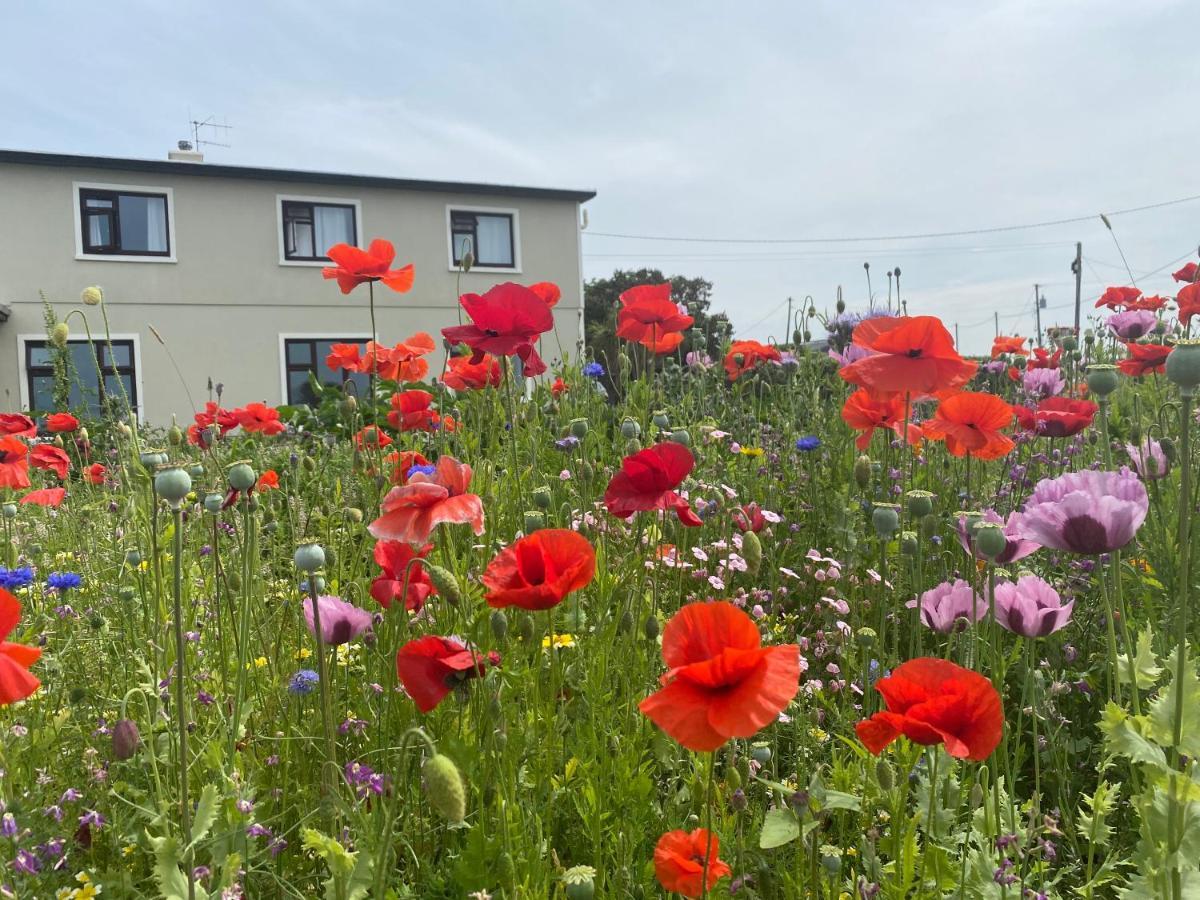 Clonmore Lodge B&B Quilty Luaran gambar