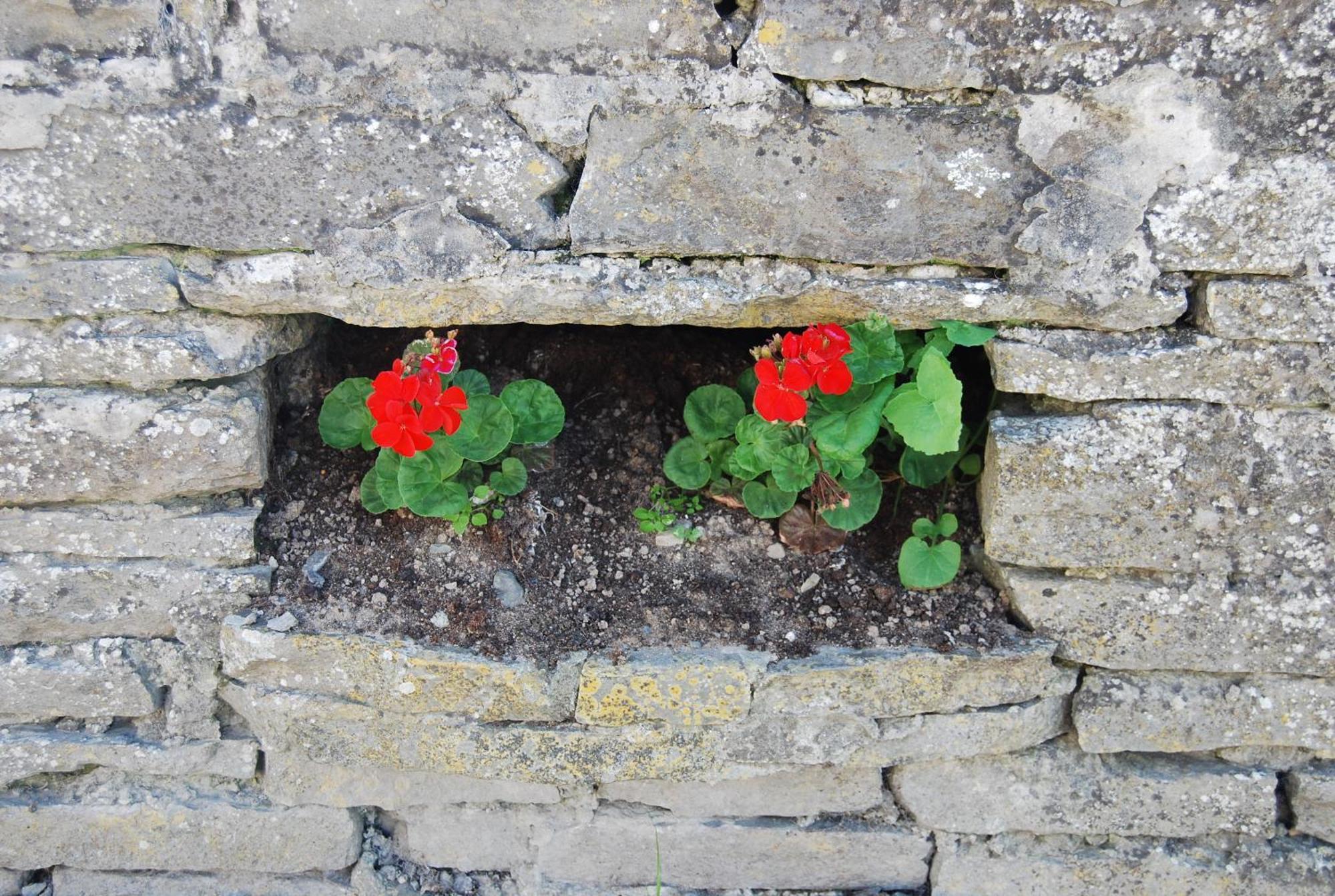 Clonmore Lodge B&B Quilty Luaran gambar