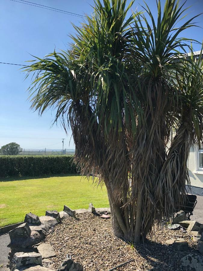 Clonmore Lodge B&B Quilty Luaran gambar